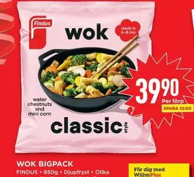 Findus - WOK BIGPACK