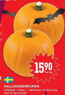 HALLOWEENPUMPA