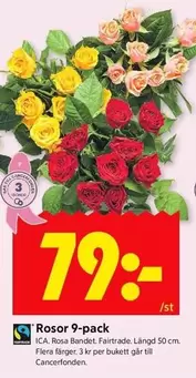 fairtrade - Rosor 9-pack
