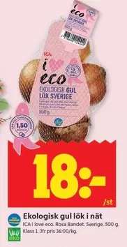 Ekologisk gul lök i nät