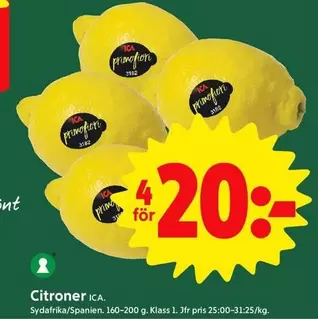 Prime - Citroner
