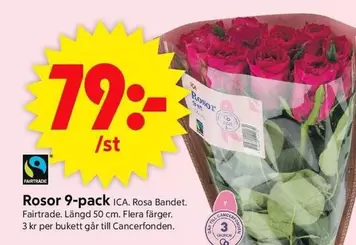fairtrade - Rosor 9-pack