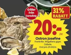 Ostron Josefine