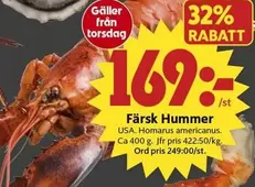 Färsk Hummer