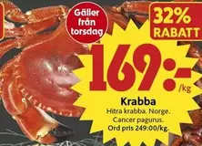 Krabba