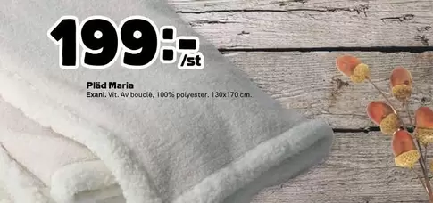 Pläd Maria