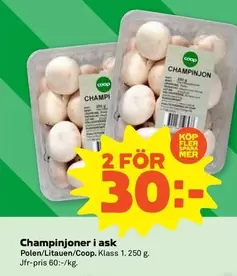 Coop - Champinjoner i ask