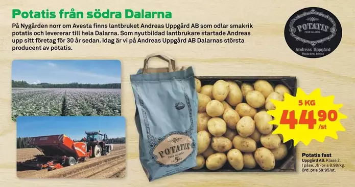 Potatis
