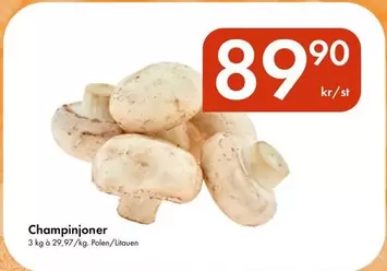 Champinjoner