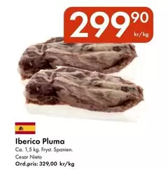 Iberico Pluma