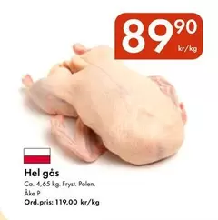 Hel gås