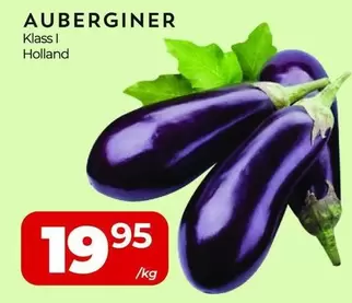 AUBERGINER