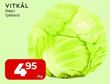 VITKÅL