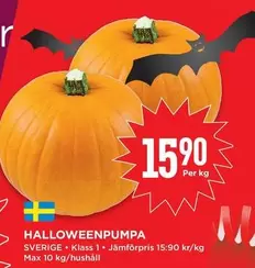 HALLOWEENPUMPA
