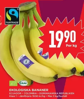 fairtrade - EKOLOGISKA BANANER
