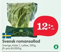Svensk romansallad