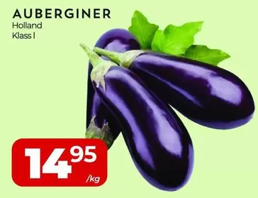 AUBERGINER