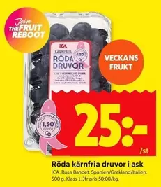 Röda kärnfria druvor i ask