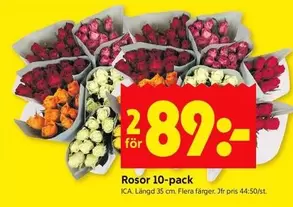 Rosor 10-pack