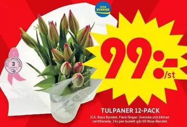 TULPANER 12-PACK