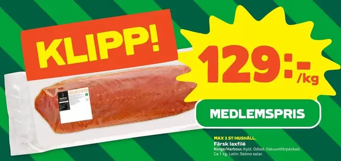 Färsk laxfilé