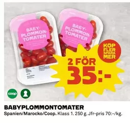 Coop - BABYPLOMMONTOMATER