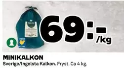 Ingelsta kalkon - MINIKALKON