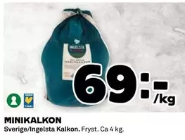 Ingelsta kalkon - MINIKALKON