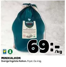 Ingelsta kalkon - MINIKALKON