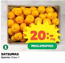 SATSUMAS
