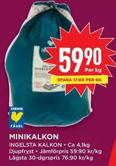 Ingelsta kalkon - MINIKALKON