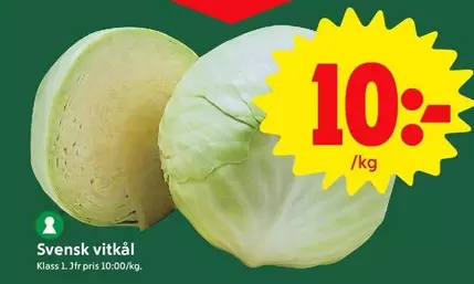 vitkål