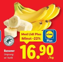 Bananer