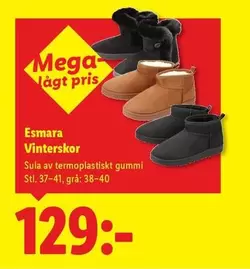 Vinterskor