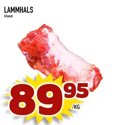 LAMMHALS