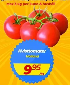 Kvisttomater
