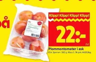 Plommontomater i ask