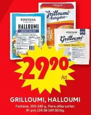 Fontana - GRILLOUMI, HALLOUMI