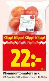 Plommontomater i ask