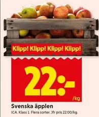 Svenska äpplen
