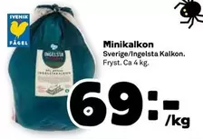 Ingelsta kalkon - Minikalkon