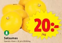 Satsumas