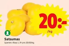 Satsumas