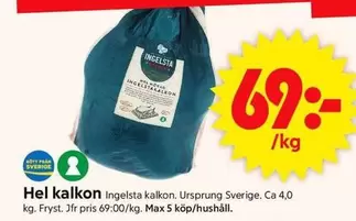 Ingelsta kalkon - Hel kalkon