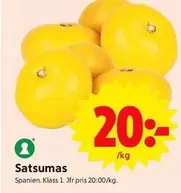 Satsumas