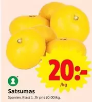Satsumas