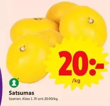 Satsumas