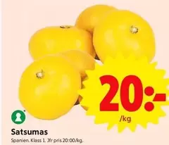 Satsumas