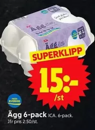 Ägg 6-pack
