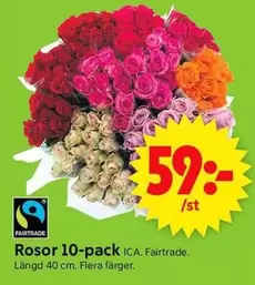 fairtrade - Rosor 10-pack